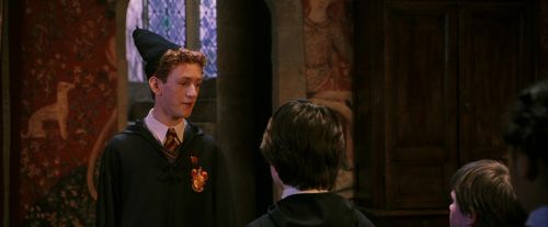 PF-Potterish_04233.jpg