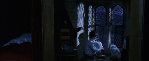 Click to view full size image
==============
PF-Potterish_04278.jpg PF-Potterish_04278.jpg