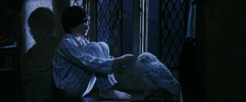 PF-Potterish_04279.jpg
