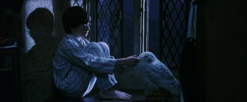 PF-Potterish_04281.jpg