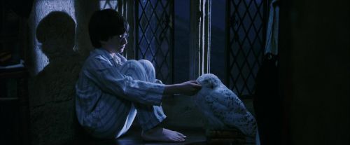 PF-Potterish_04282.jpg