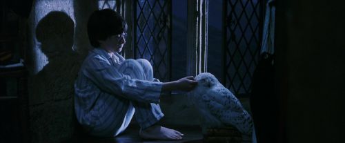 PF-Potterish_04283.jpg