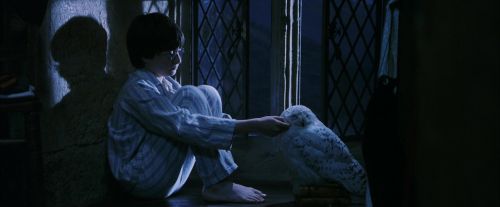 PF-Potterish_04284.jpg