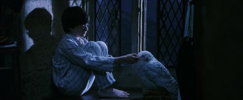 PF-Potterish_04285.jpg