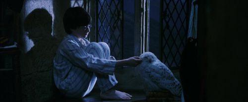PF-Potterish_04287.jpg