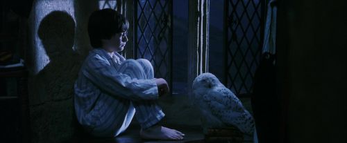 PF-Potterish_04291.jpg