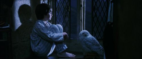 PF-Potterish_04292.jpg
