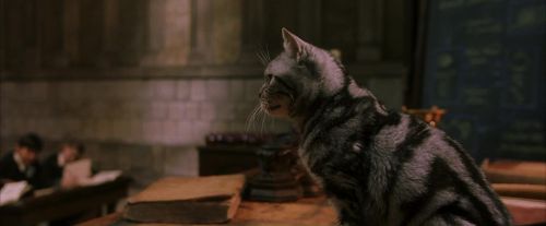 PF-Potterish_04316.jpg