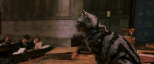 PF-Potterish_04317.jpg