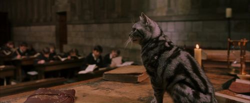 Click to view full size image
==============
PF-Potterish_04319.jpg PF-Potterish_04319.jpg