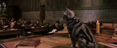 Click to view full size image
==============
PF-Potterish_04320.jpg PF-Potterish_04320.jpg