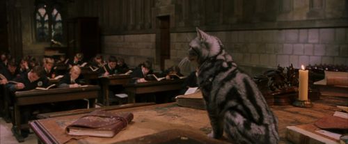 Click to view full size image
==============
PF-Potterish_04321.jpg PF-Potterish_04321.jpg