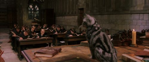 PF-Potterish_04322.jpg