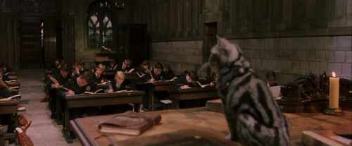 Click to view full size image
==============
PF-Potterish_04323.jpg PF-Potterish_04323.jpg