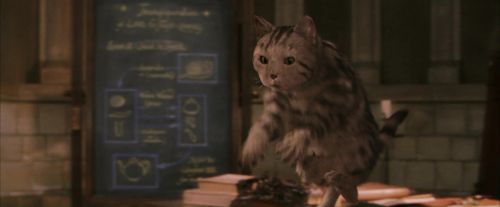 Click to view full size image
==============
PF-Potterish_04347.jpg PF-Potterish_04347.jpg