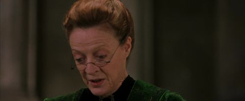 PF-Potterish_04375.jpg