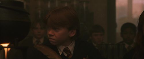 PF-Potterish_04492.jpg