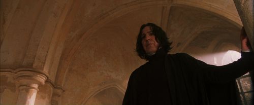 PF-Potterish_04509.jpg