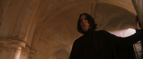 PF-Potterish_04512.jpg
