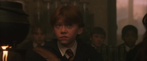 PF-Potterish_04525.jpg