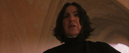 PF-Potterish_04537.jpg