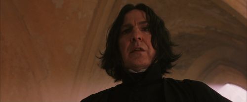 PF-Potterish_04538.jpg