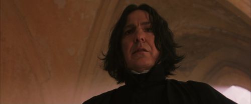 PF-Potterish_04545.jpg