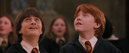 PF-Potterish_04590.jpg