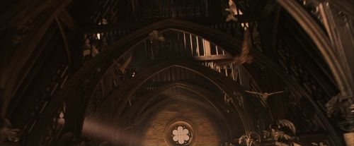 PF-Potterish_04599.jpg