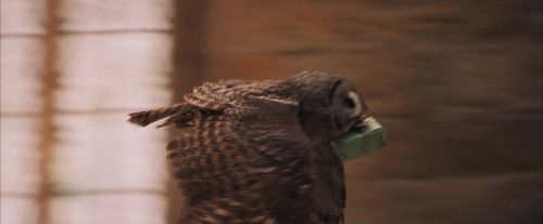 Click to view full size image
==============
PF-Potterish_04602.jpg PF-Potterish_04602.jpg