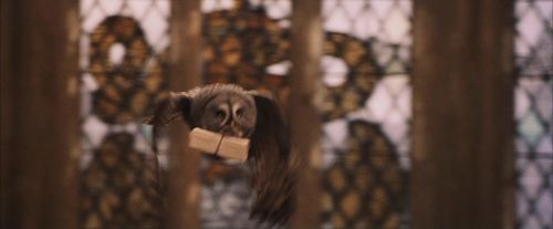 PF-Potterish_04608.jpg