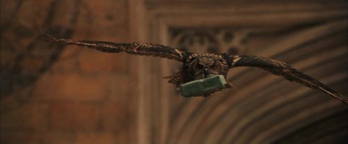 PF-Potterish_04613.jpg