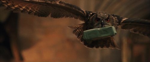 PF-Potterish_04614.jpg