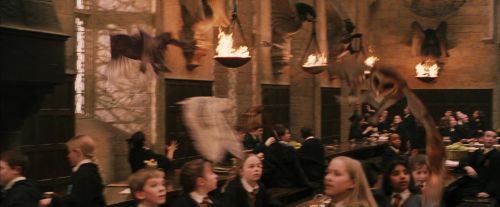 PF-Potterish_04623.jpg