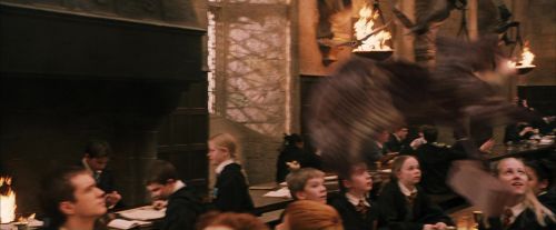 PF-Potterish_04624.jpg