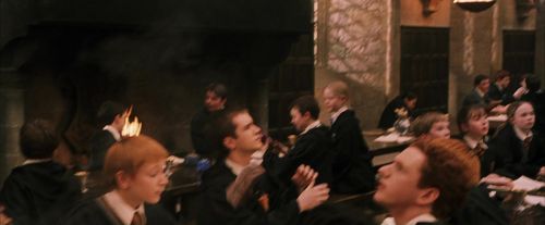 PF-Potterish_04625.jpg