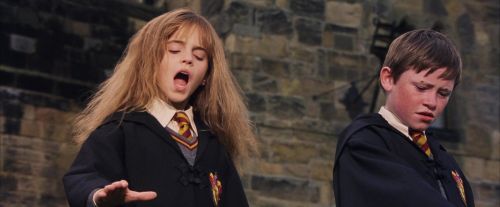 Click to view full size image
==============
PF-Potterish_04758.jpg PF-Potterish_04758.jpg