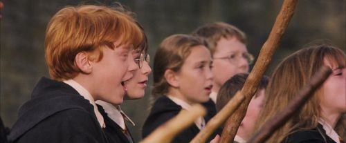Click to view full size image
==============
PF-Potterish_04825.jpg PF-Potterish_04825.jpg