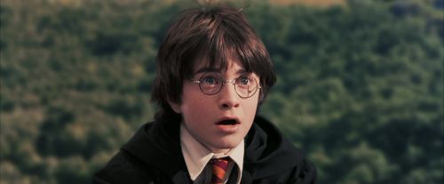Click to view full size image
==============
PF-Potterish_04996.jpg PF-Potterish_04996.jpg