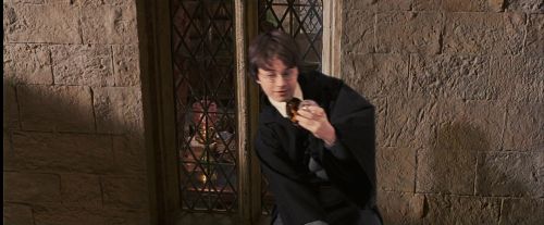 PF-Potterish_05018.jpg
