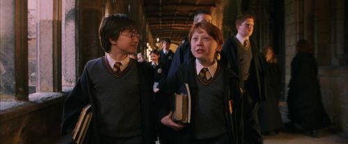 PF-Potterish_05122.jpg