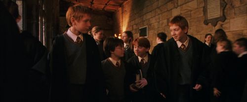 PF-Potterish_05142.jpg