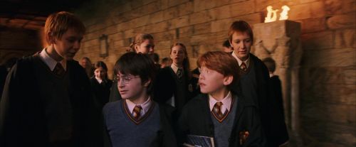 PF-Potterish_05150.jpg