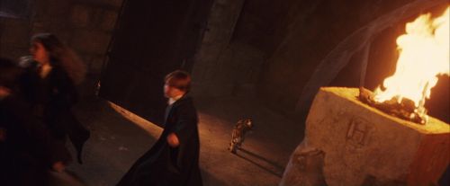 PF-Potterish_05274.jpg