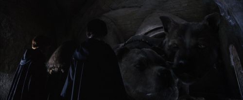 PF-Potterish_05352.jpg