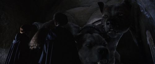 Click to view full size image
==============
PF-Potterish_05353.jpg PF-Potterish_05353.jpg