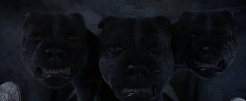 PF-Potterish_05357.jpg