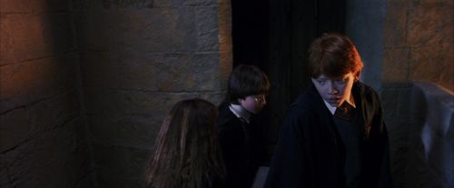 PF-Potterish_05406.jpg