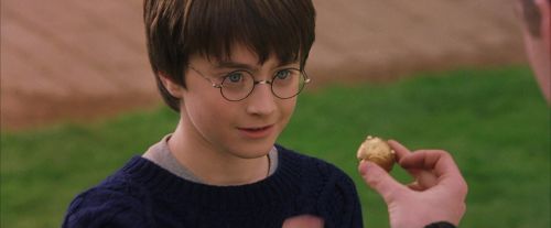 PF-Potterish_05586.jpg