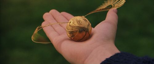 Click to view full size image
==============
PF-Potterish_05614.jpg PF-Potterish_05614.jpg